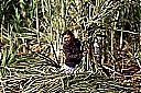 Nombre del archivo=0youj8640b56l1o49q2j.jpg
Tamaño del archivo=603KiB
Dimensiones=990x661
Fecha añadida=Diciembre 30, 2018 0youj8640b56l1o49q2j.jpg