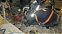 1006024_322800461189104_659071836_n.jpg