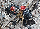 Nombre del archivo=1146536_605488012824244_998887962_n.jpg
Tamaño del archivo=48KiB
Dimensiones=621x465
Fecha añadida=Diciembre 30, 2018 1146536_605488012824244_998887962_n.jpg
