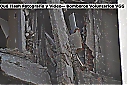 Nombre del archivo=1149183_10201661553122760_1538466241_o.jpg
Tamaño del archivo=172KiB
Dimensiones=2048x1360
Fecha añadida=Diciembre 30, 2018 1149183_10201661553122760_1538466241_o.jpg