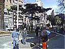 Nombre del archivo=1149361_507564865997255_1504589954_o.jpg
Tamaño del archivo=236KiB
Dimensiones=1600x1200
Fecha añadida=Diciembre 30, 2018 1149361_507564865997255_1504589954_o.jpg