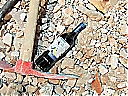 Nombre del archivo=1172241_10151543165216922_158620368_o.jpg
Tamaño del archivo=351KiB
Dimensiones=2048x1536
Fecha añadida=Diciembre 30, 2018 1172241_10151543165216922_158620368_o.jpg