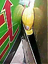 Nombre del archivo=12140645_1048797685138438_3219454956880761687_n.jpg
Tamaño del archivo=12KiB
Dimensiones=360x480
Fecha añadida=Diciembre 29, 2018 12140645_1048797685138438_3219454956880761687_n.jpg