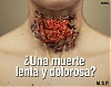 Nombre del archivo=15003.jpg
Tamaño del archivo=29KiB
Dimensiones=425x337
Fecha añadida=Junio 04, 2012 15003.jpg