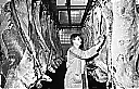 Nombre del archivo=33E0F2FA4.jpg
Tamaño del archivo=149KiB
Dimensiones=950x615
Fecha añadida=Diciembre 29, 2018 33E0F2FA4.jpg