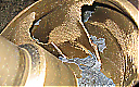 Nombre del archivo=A0CG0004172.jpg
Tamaño del archivo=144KiB
Dimensiones=800x500
Fecha añadida=Julio 07, 2022 A0CG0004172.jpg