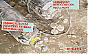 Nombre del archivo=accid_02a.png
Tamaño del archivo=554KiB
Dimensiones=995x619
Fecha añadida=Julio 06, 2022 accid_02a.png