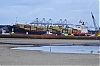 casc0209b_049~0.jpg