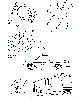 Nombre del archivo=817s.gif
Tamaño del archivo=44KiB
Dimensiones=643x809
Fecha añadida=Enero 19, 2007 817s.gif