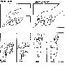 Nombre del archivo=94s.gif
Tamaño del archivo=25KiB
Dimensiones=495x519
Fecha añadida=Enero 19, 2007 94s.gif