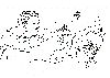 Nombre del archivo=body13.gif
Tamaño del archivo=10KiB
Dimensiones=492x354
Fecha añadida=Enero 19, 2007 body13.gif