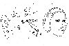 Nombre del archivo=noise16.gif
Tamaño del archivo=14KiB
Dimensiones=495x335
Fecha añadida=Enero 19, 2007 noise16.gif