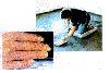 Nombre del archivo=p3.gif
Tamaño del archivo=49KiB
Dimensiones=503x341
Fecha añadida=Enero 19, 2007 p3.gif