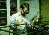 Nombre del archivo=rshi11a.gif
Tamaño del archivo=17KiB
Dimensiones=205x148
Fecha añadida=Enero 19, 2007 rshi11a.gif
