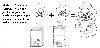 Nombre del archivo=s6.GIF
Tamaño del archivo=23KiB
Dimensiones=553x267
Fecha añadida=Enero 19, 2007 s6.GIF